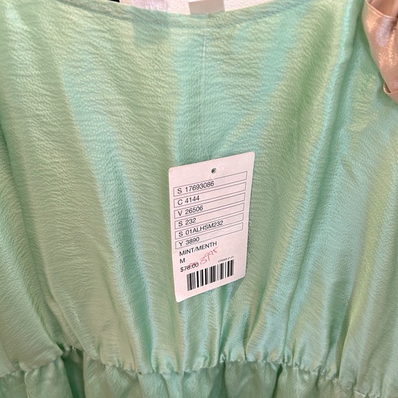 Anthropologie Eloise vintage inspired slip new with tags medium rosette green - Picture 3 of 10
